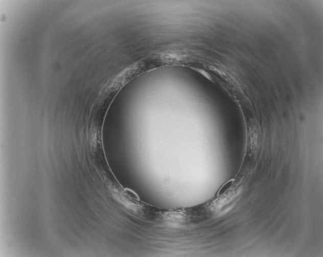 X0000067870574200604171227