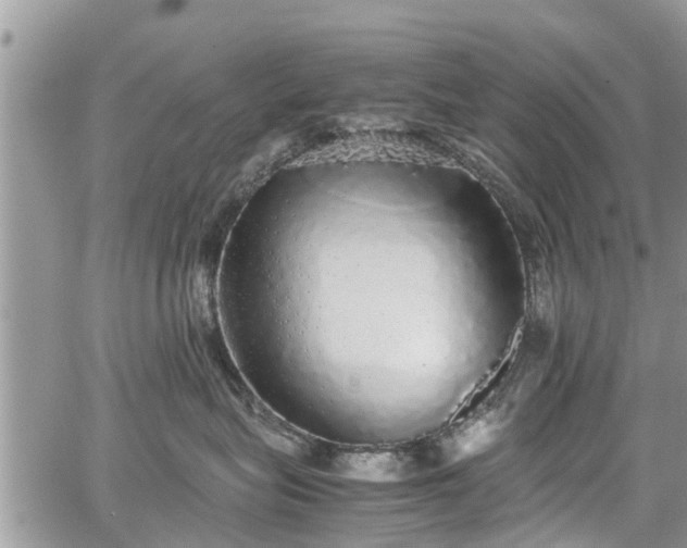 X0000067870575200604171227