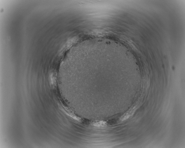 X0000067870576200604171227