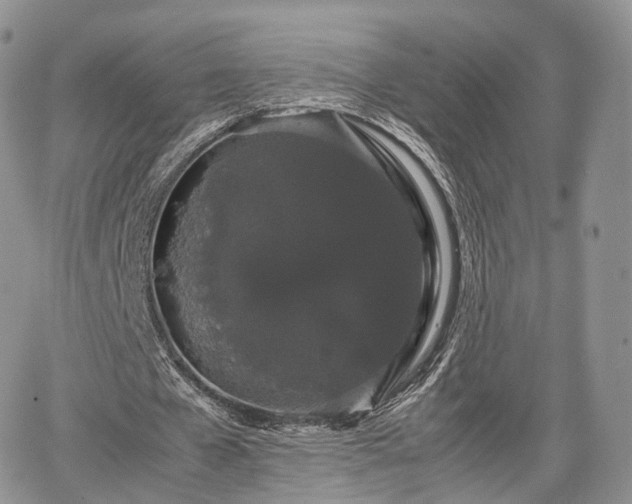 X0000067870577200604171226