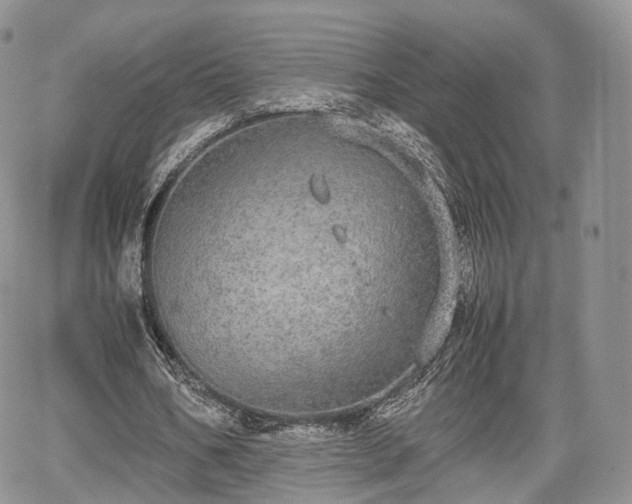 X0000067870578200604171226