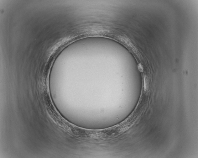 X0000067870579200604171226