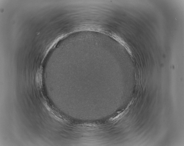 X0000067870580200604171226