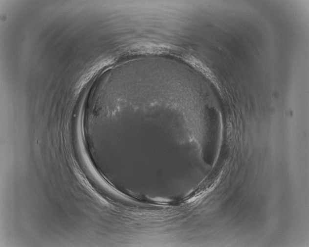 X0000067870581200604171226