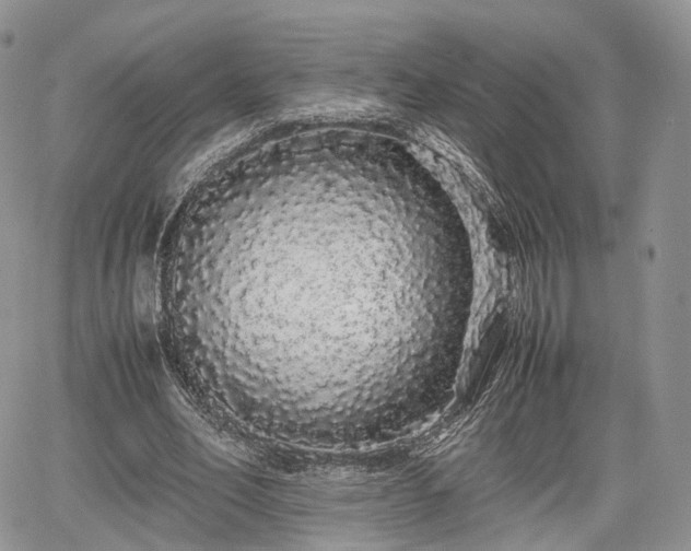 X0000067870582200604171226