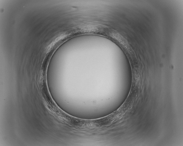 X0000067870583200604171226