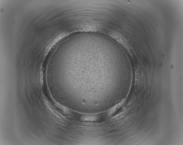 X0000067870584200604171226