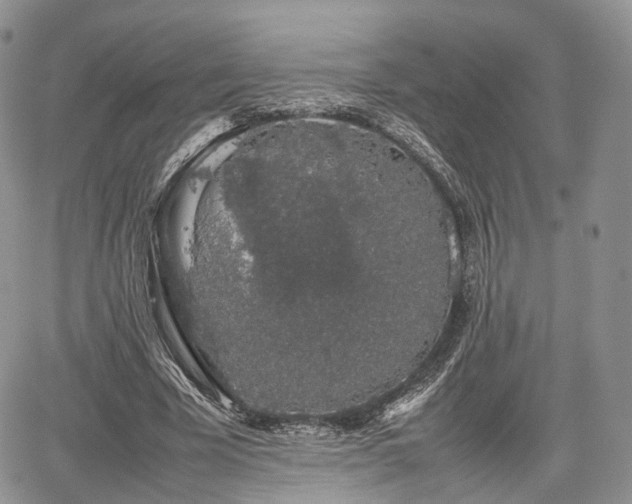 X0000067870585200604171226