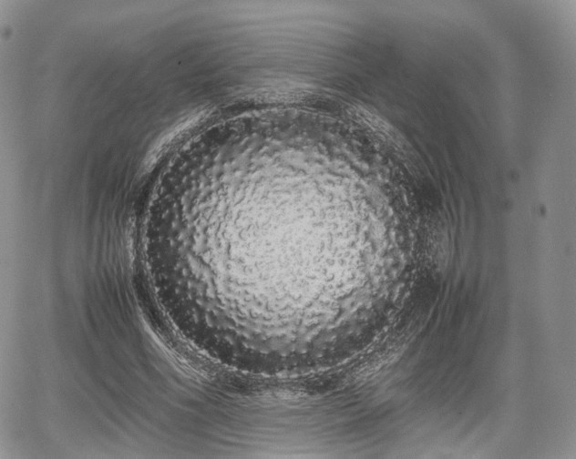 X0000067870586200604171226