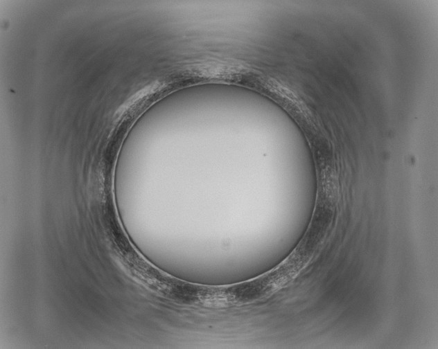 X0000067870587200604171226