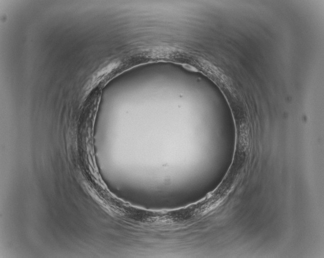 X0000067870589200604171226