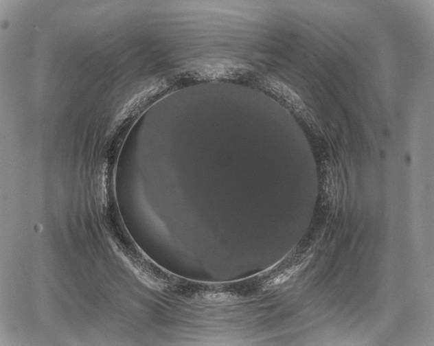 X0000067870590200604171226