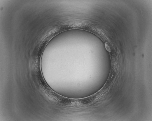 X0000067870591200604171226