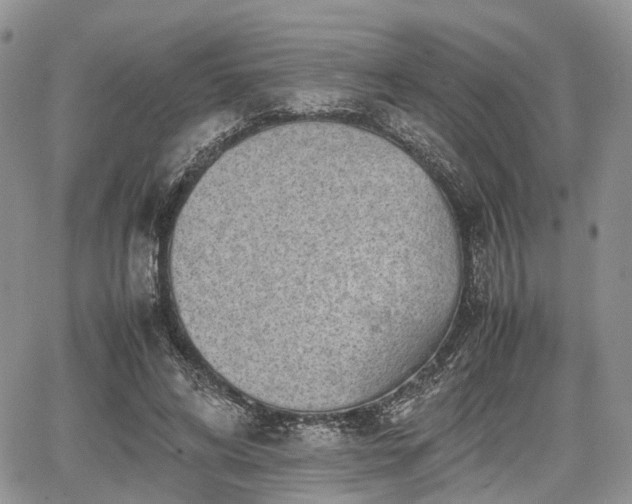 X0000067870592200604171226