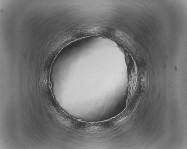 X0000067870593200604171226