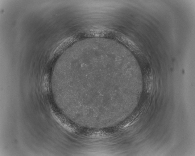 X0000067870594200604171226