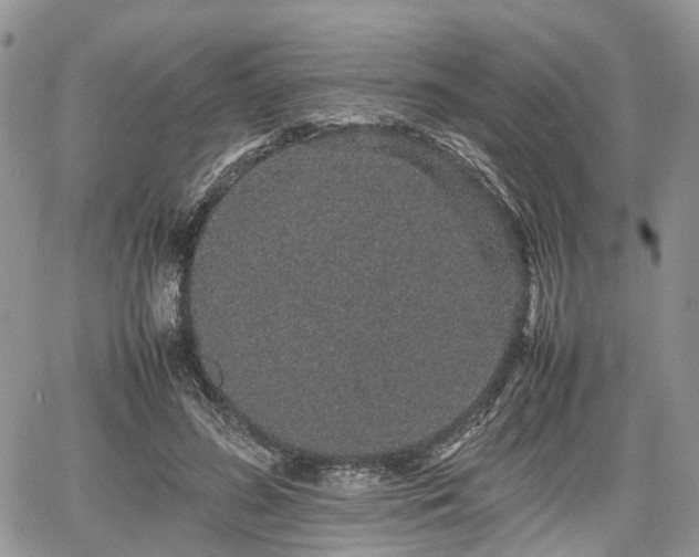 X0000067870596200604171226