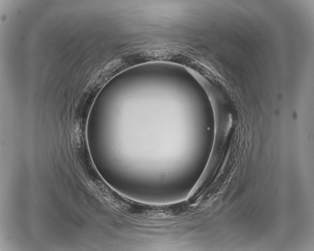 X0000067870597200604171226