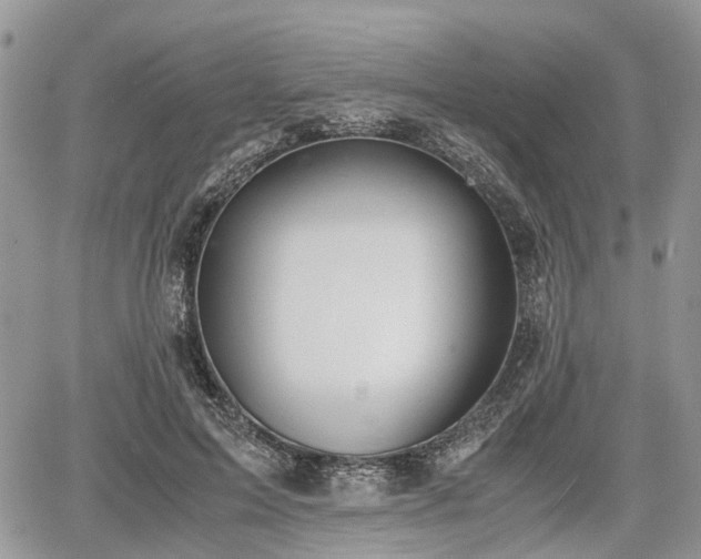 X0000067870599200604171226