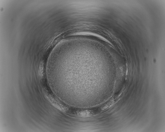 X0000067870600200604171226