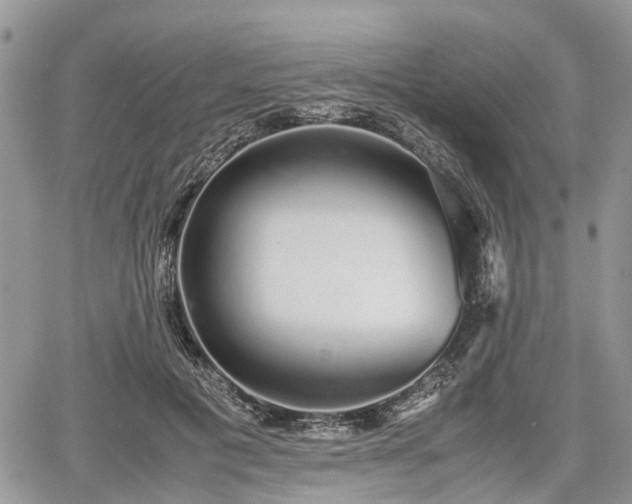 X0000067870601200604171226