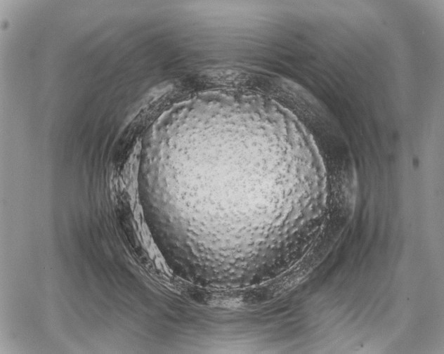 X0000067870602200604171226