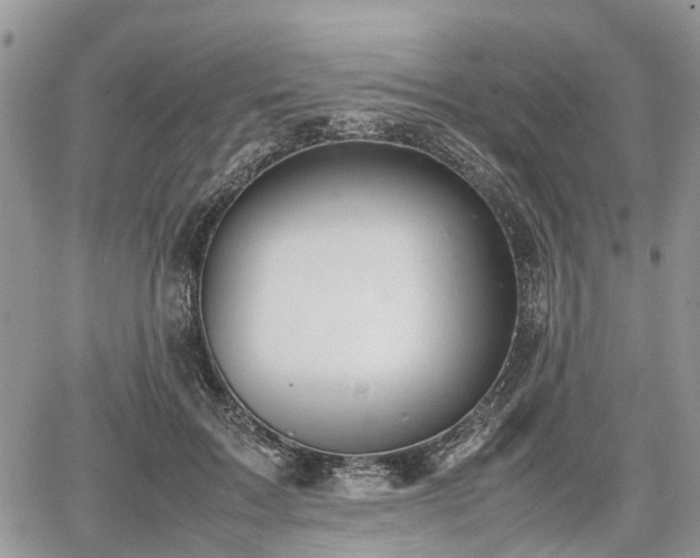 X0000067870603200604171226