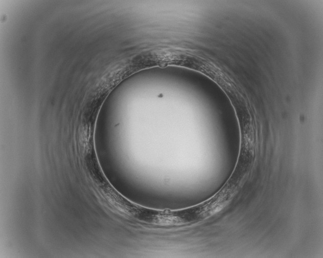 X0000067870605200604171226