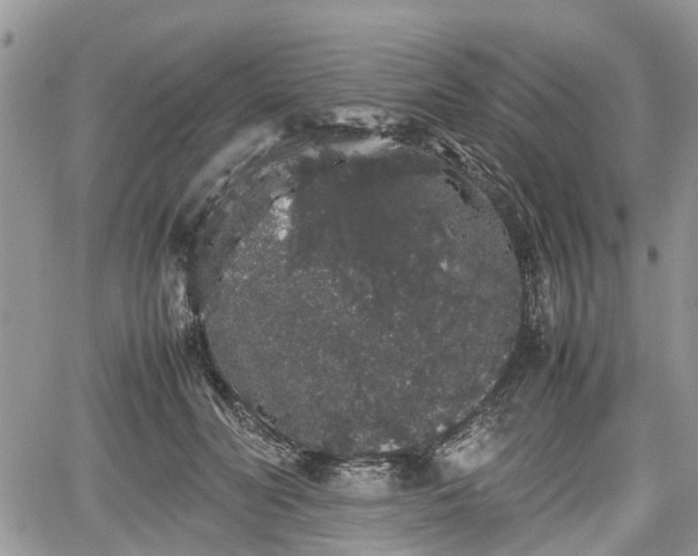 X0000067870606200604171226