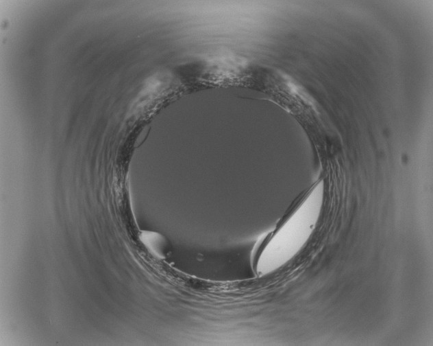 X0000067870607200604171226