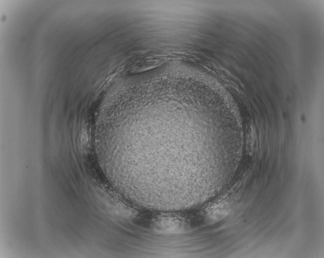 X0000067870608200604171226