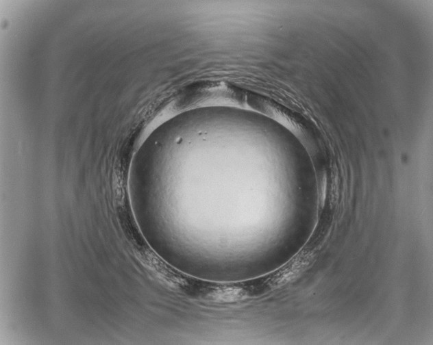 X0000067870609200604171226