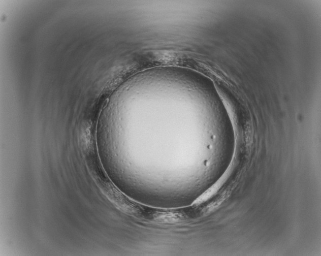 X0000067870611200604171226