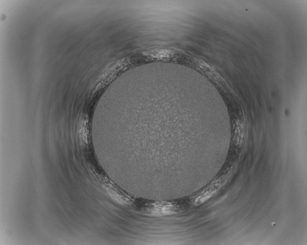 X0000067870612200604171226