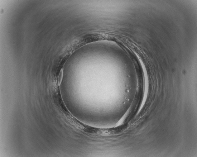 X0000067870613200604171226