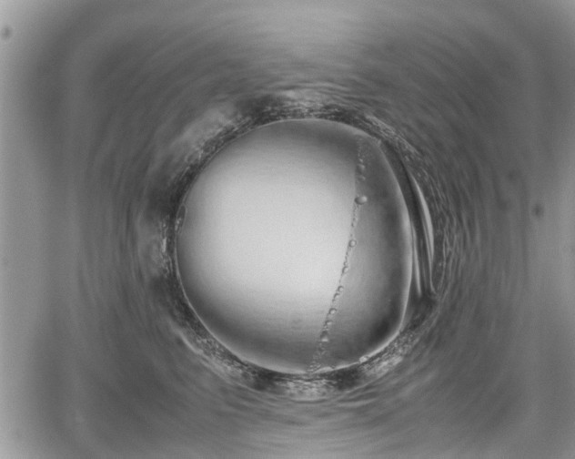 X0000067870615200604171226