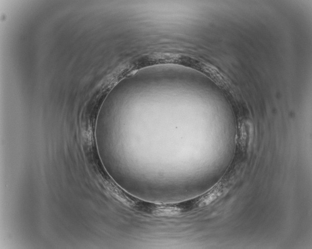 X0000067870617200604171226