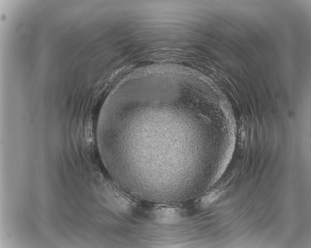 X0000067870620200604171226