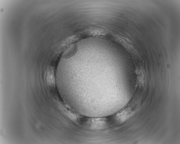 X0000067870622200604171226