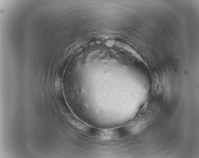 X0000067870623200604171226