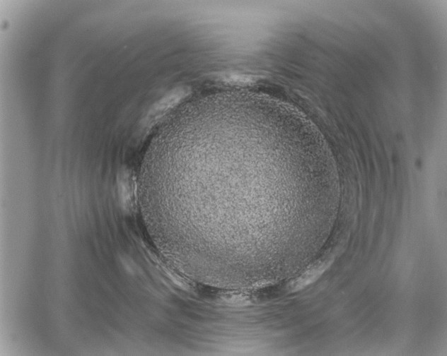 X0000067870624200604171226