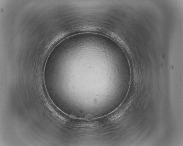 X0000067870625200604171225