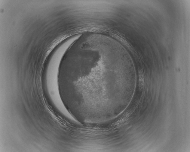 X0000067870626200604171225