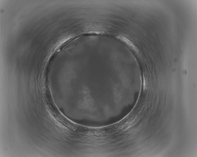 X0000067870627200604171225