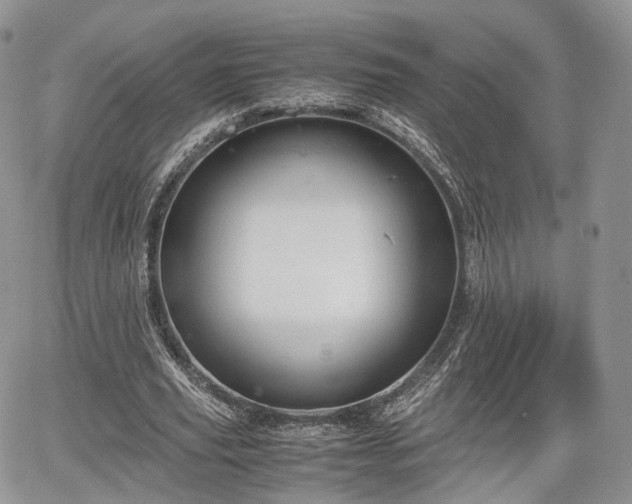 X0000067870629200604171225