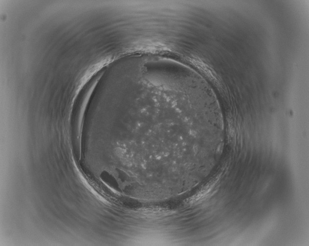 X0000067870630200604171225