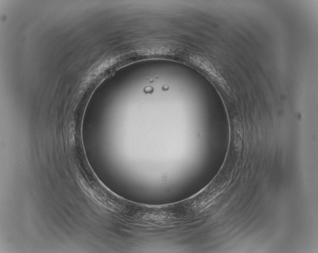 X0000067870631200604171225