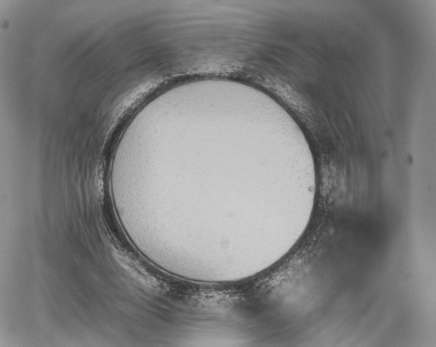 X0000067870632200604171225