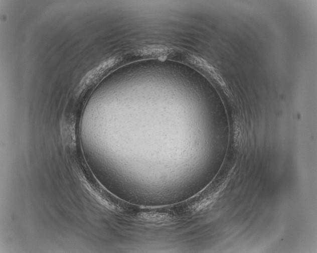 X0000067870633200604171225