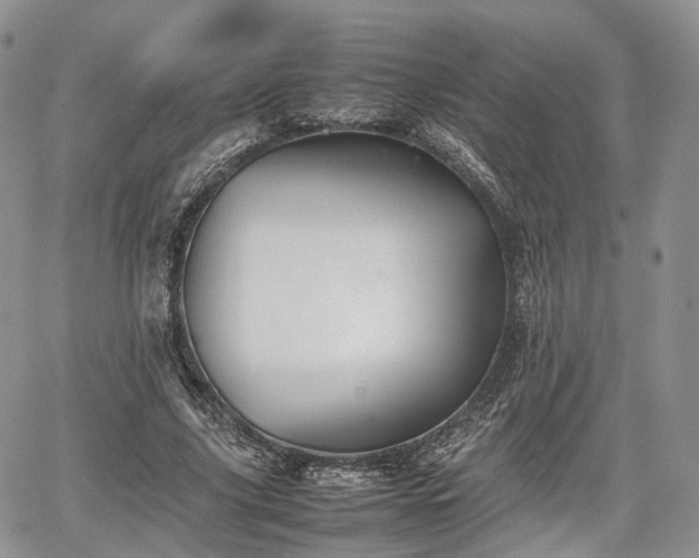 X0000067870635200604171225